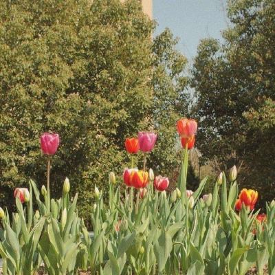 星空体育APPapp下载