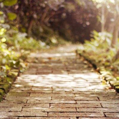 皇冠综合体育官方app下载截图